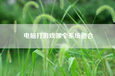 电脑打游戏哪个系统适合