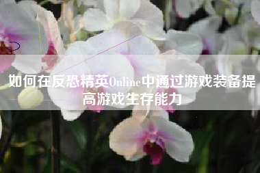 如何在反恐精英Online中通过游戏装备提高游戏生存能力