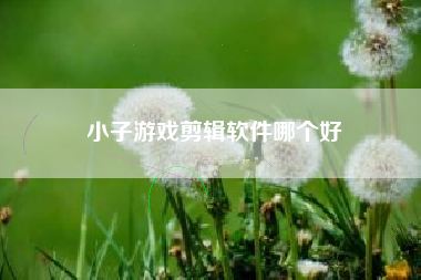 小子游戏剪辑软件哪个好