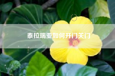 泰拉瑞亚如何开门关门