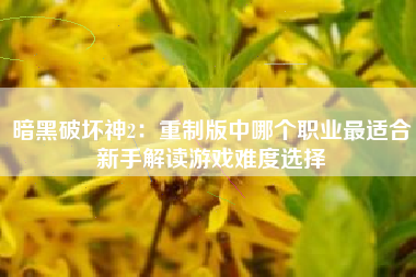 暗黑破坏神2：重制版中哪个职业最适合新手解读游戏难度选择