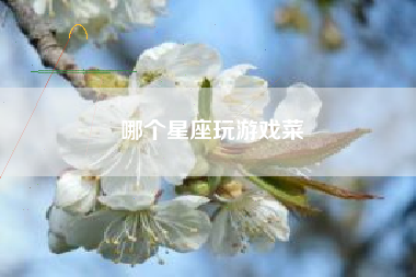 哪个星座玩游戏菜