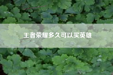 王者荣耀多久可以买英雄