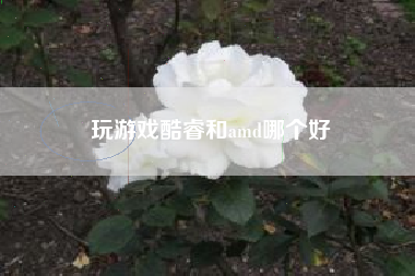 玩游戏酷睿和amd哪个好