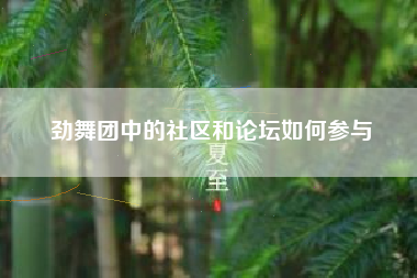 劲舞团中的社区和论坛如何参与