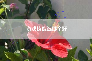 游戏技能选哪个好