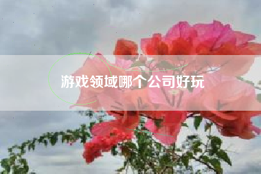 游戏领域哪个公司好玩