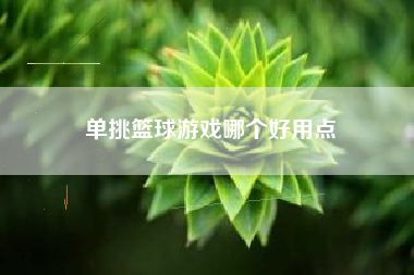 单挑篮球游戏哪个好用点