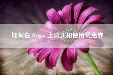 如何在 Origin 上购买和使用优惠券