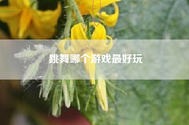 跳舞哪个游戏最好玩