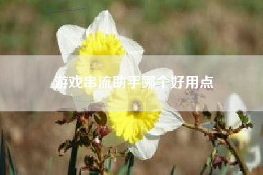 游戏串流助手哪个好用点