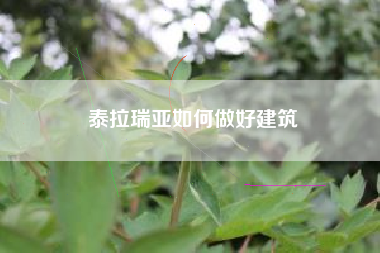 泰拉瑞亚如何做好建筑