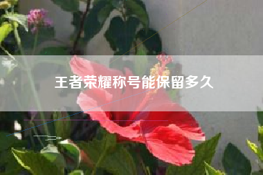 王者荣耀称号能保留多久