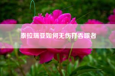 泰拉瑞亚如何无伤打吞噬者