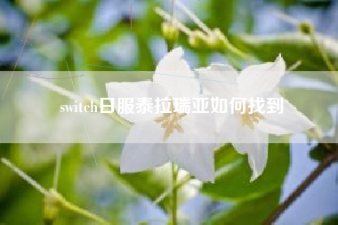 switch日服泰拉瑞亚如何找到