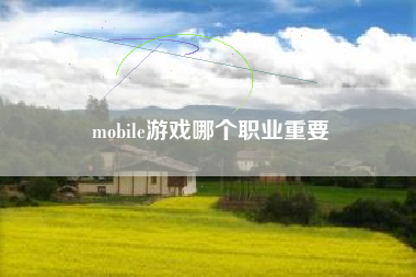 mobile游戏哪个职业重要