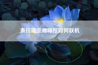 泰拉瑞亚咖啡厅如何联机