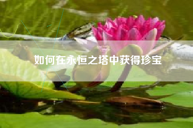 如何在永恒之塔中获得珍宝