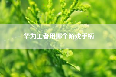 华为王者用哪个游戏手柄