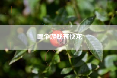 哪个游戏有快龙