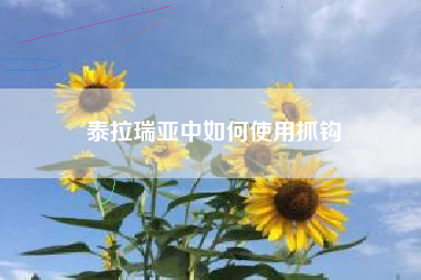 泰拉瑞亚中如何使用抓钩