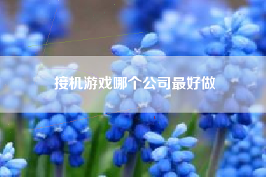 接机游戏哪个公司最好做