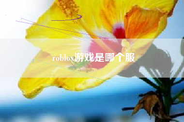 roblox游戏是哪个服