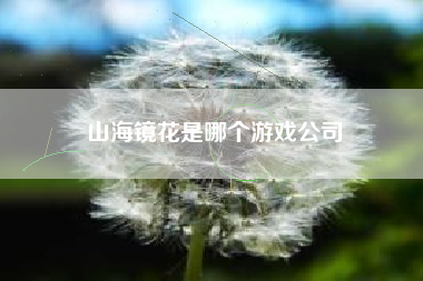 山海镜花是哪个游戏公司