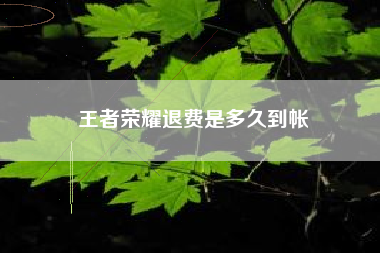 王者荣耀退费是多久到帐