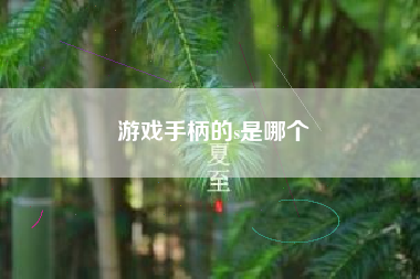 游戏手柄的s是哪个