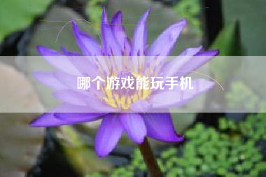 哪个游戏能玩手机