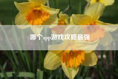 哪个app游戏攻略最强