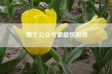 哪个公众号里能玩游戏