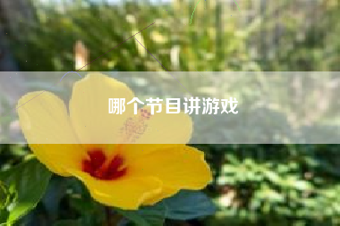 哪个节目讲游戏