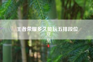 王者荣耀多久能玩五排段位