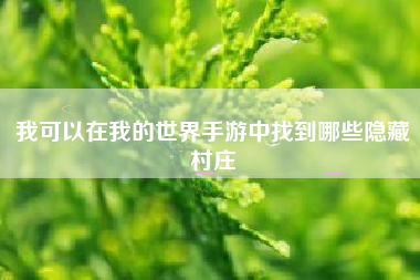 我可以在我的世界手游中找到哪些隐藏村庄