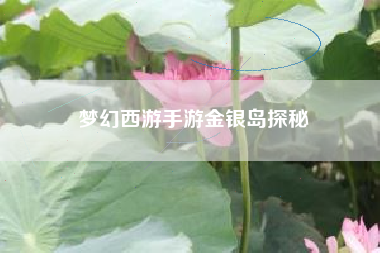 梦幻西游手游金银岛探秘