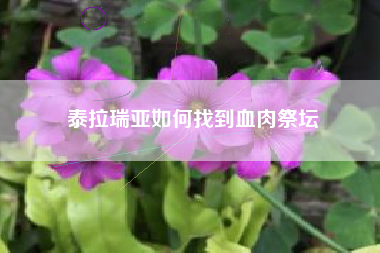 泰拉瑞亚如何找到血肉祭坛