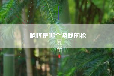 咆哮是哪个游戏的枪