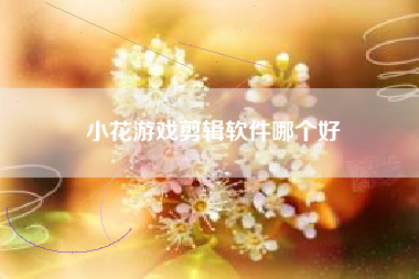 小花游戏剪辑软件哪个好