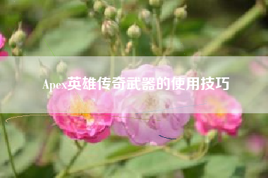 Apex英雄传奇武器的使用技巧