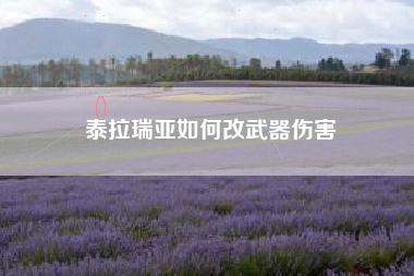 泰拉瑞亚如何改武器伤害