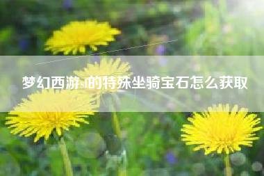 梦幻西游sf的特殊坐骑宝石怎么获取