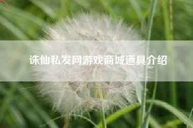 诛仙私发网游戏商城道具介绍