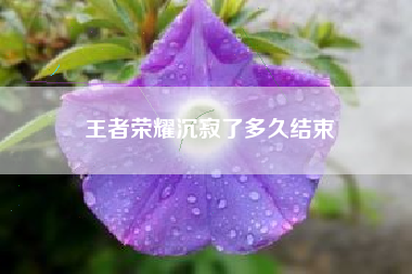 王者荣耀沉寂了多久结束