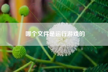 哪个文件是运行游戏的