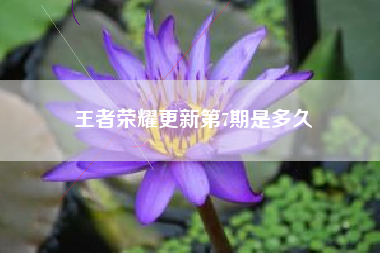 王者荣耀更新第7期是多久