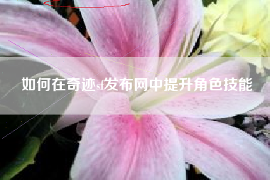 如何在奇迹sf发布网中提升角色技能