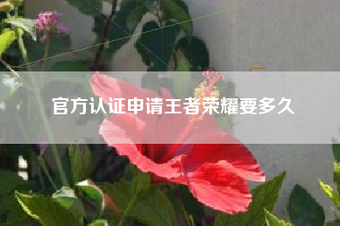 官方认证申请王者荣耀要多久