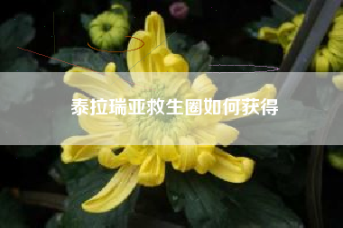 泰拉瑞亚救生圈如何获得